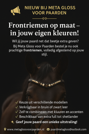 Frontriemen